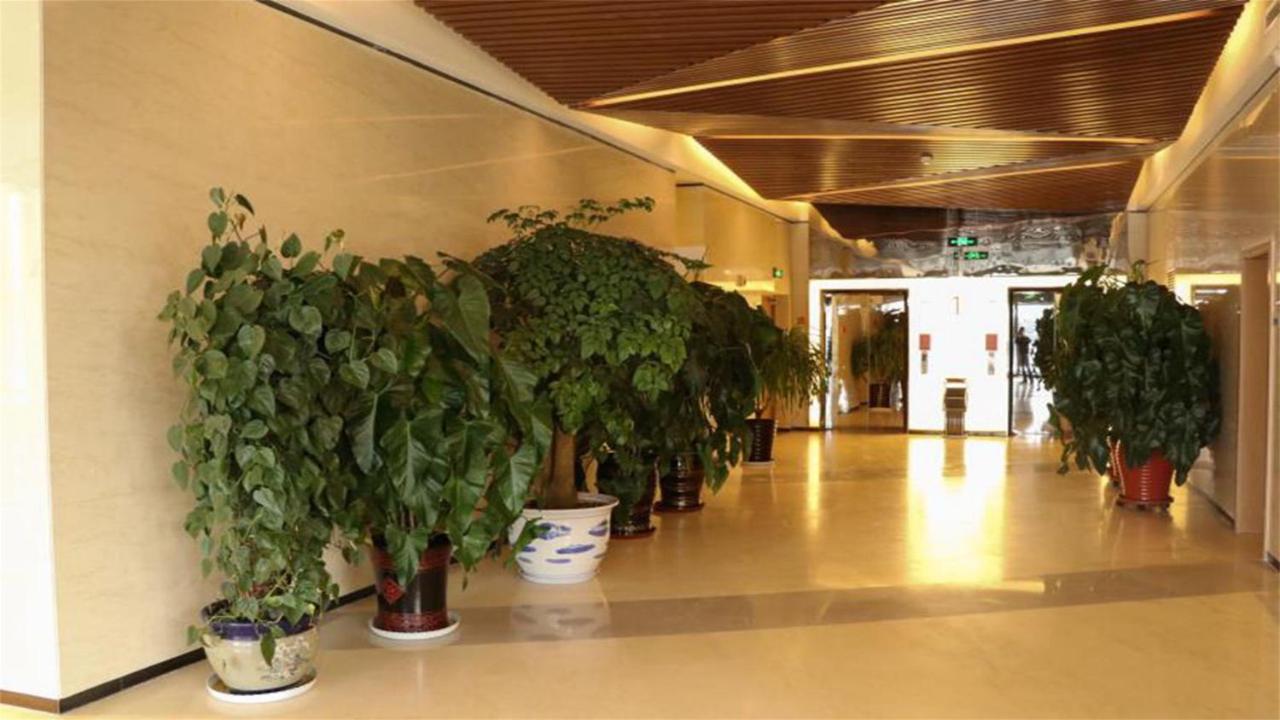 Holiday Inn Express Zhangjiakou Park View, An Ihg Hotel Exterior foto